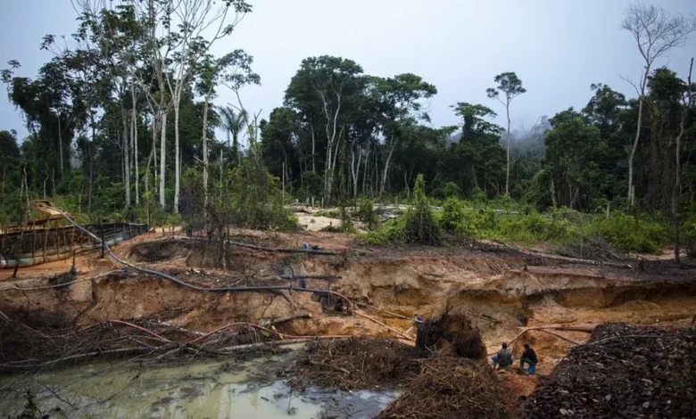 Garimpos ilegais de ouro podem emitir 3,5 toneladas de carbono por hectare e concentrar mercúrio no solo