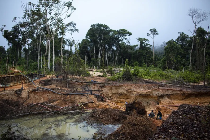 Garimpos ilegais de ouro podem emitir 3,5 toneladas de carbono por hectare e concentrar mercúrio no solo